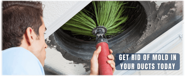 Air Duct Mold Removal in Hanover Park IL