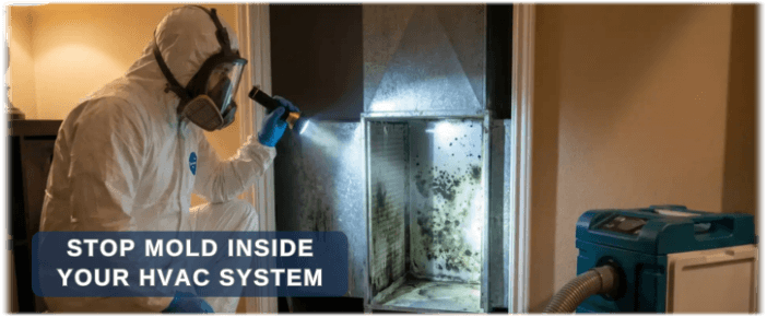 HVAC Mold Removal Hanover Park IL